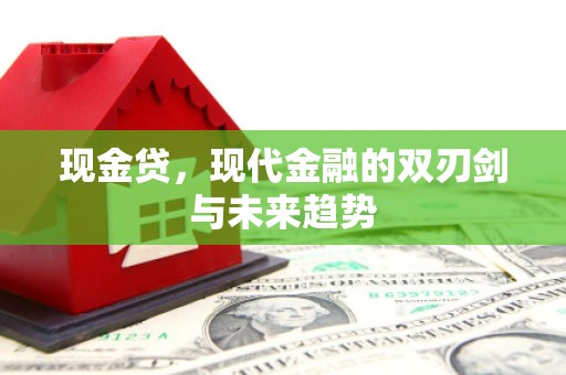 延安现金贷，现代金融的双刃剑与未来趋势