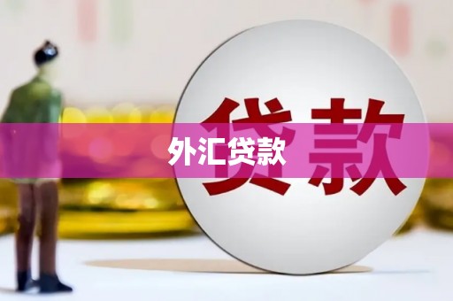 延安外汇贷款