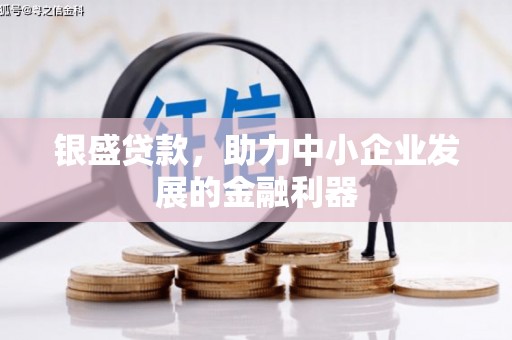 延安银盛贷款，助力中小企业发展的金融利器