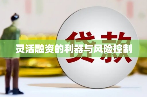 延安灵活融资的利器与风险控制