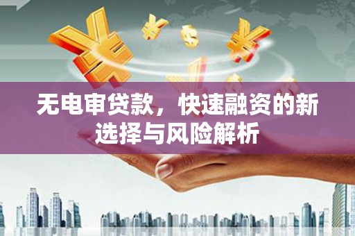 延安无电审贷款，快速融资的新选择与风险解析
