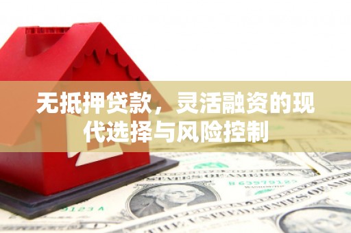 延安无抵押贷款，灵活融资的现代选择与风险控制