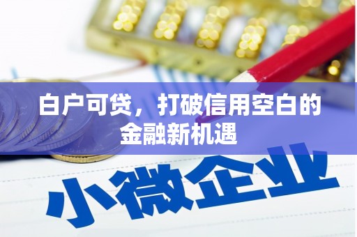 延安白户可贷，打破信用空白的金融新机遇