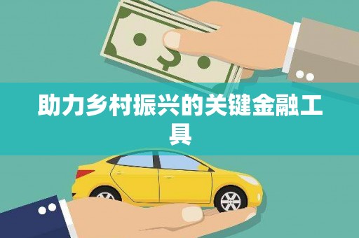 延安助力乡村振兴的关键金融工具