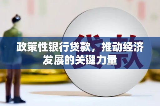 延安政策性银行贷款，推动经济发展的关键力量