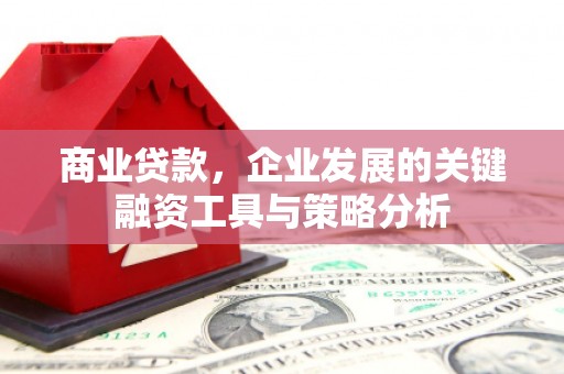 延安商业贷款，企业发展的关键融资工具与策略分析