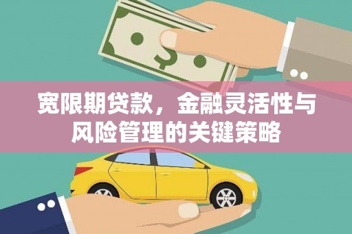 延安宽限期贷款，金融灵活性与风险管理的关键策略