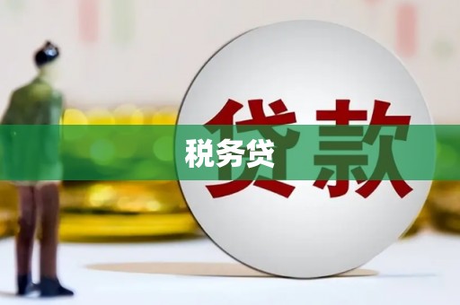 延安税务贷
