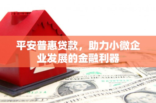 延安平安普惠贷款，助力小微企业发展的金融利器