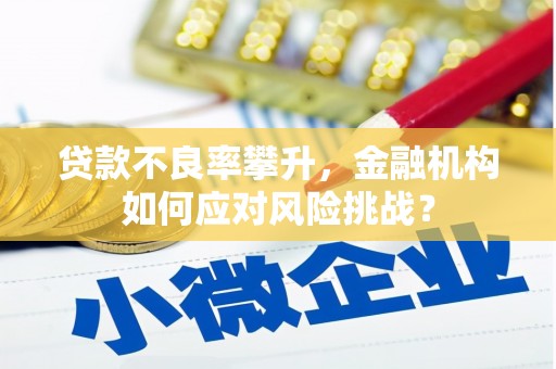 延安贷款不良率攀升，金融机构如何应对风险挑战？