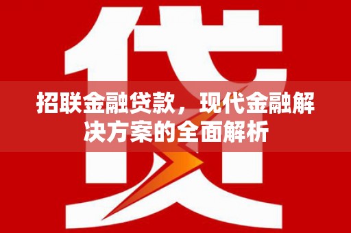 延安招联金融贷款，现代金融解决方案的全面解析