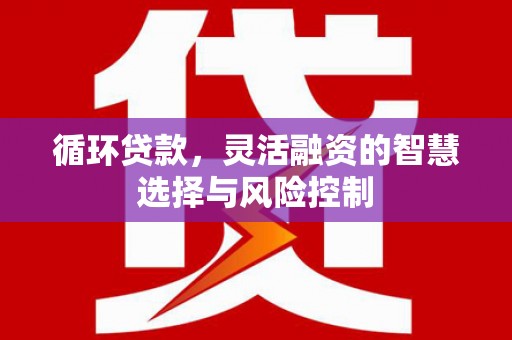延安循环贷款，灵活融资的智慧选择与风险控制