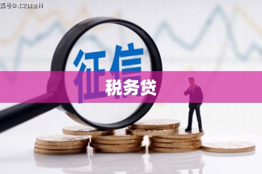 延安税务贷