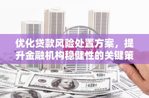 延安优化贷款风险处置方案，提升金融机构稳健性的关键策略