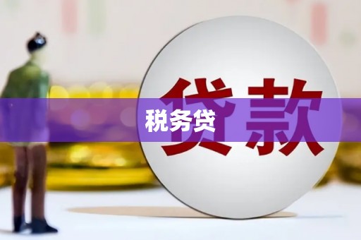 延安税务贷