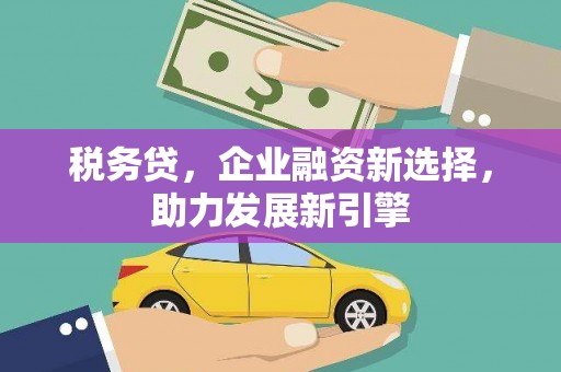 延安税务贷，企业融资新选择，助力发展新引擎