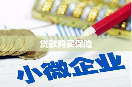 延安贷款购买保险