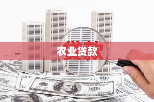 延安农业贷款