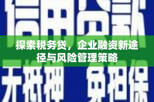 延安探索税务贷，企业融资新途径与风险管理策略