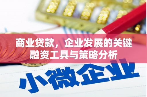 延安商业贷款，企业发展的关键融资工具与策略分析