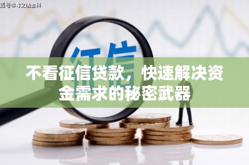 延安不看征信贷款，快速解决资金需求的秘密武器