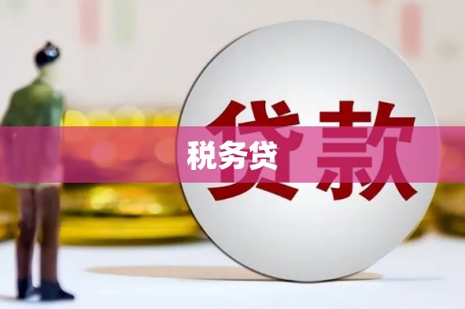 延安税务贷