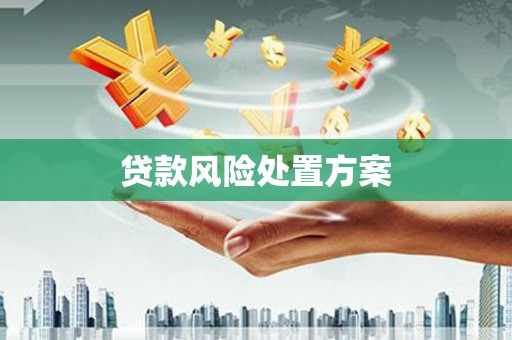 延安贷款风险处置方案