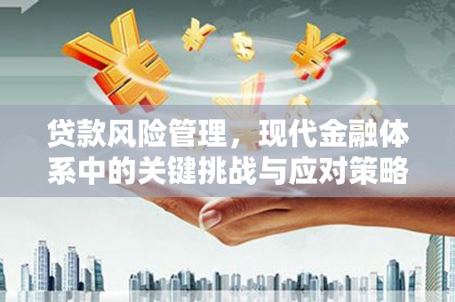 延安贷款风险管理，现代金融体系中的关键挑战与应对策略