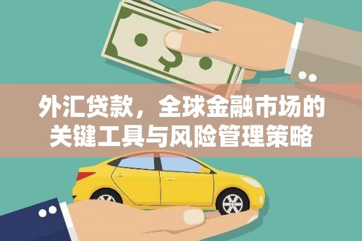 延安外汇贷款，全球金融市场的关键工具与风险管理策略