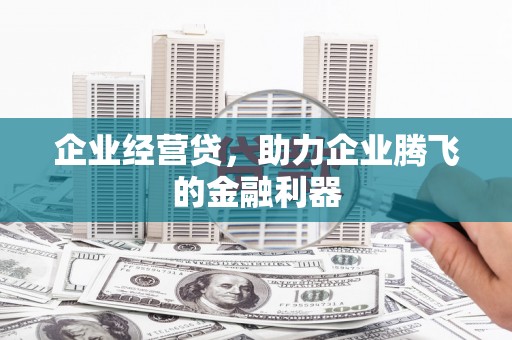 延安企业经营贷，助力企业腾飞的金融利器