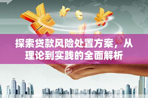 延安探索贷款风险处置方案，从理论到实践的全面解析