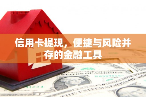 延安信用卡提现，便捷与风险并存的金融工具