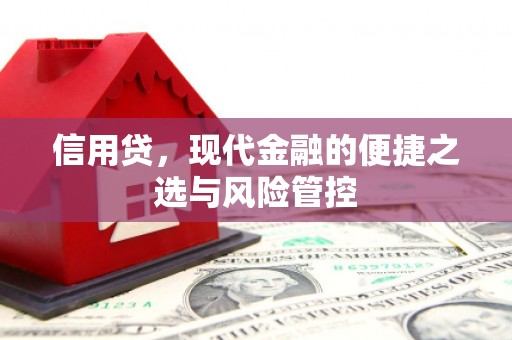 延安信用贷，现代金融的便捷之选与风险管控