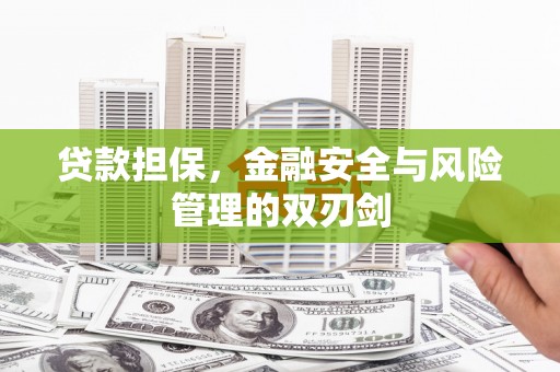 延安贷款担保，金融安全与风险管理的双刃剑