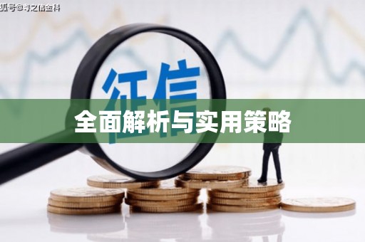 延安全面解析与实用策略