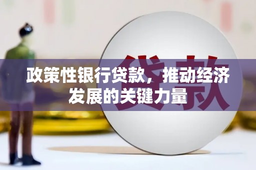 延安政策性银行贷款，推动经济发展的关键力量