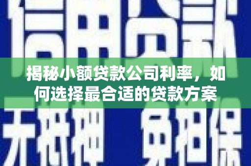 延安揭秘小额贷款公司利率，如何选择最合适的贷款方案