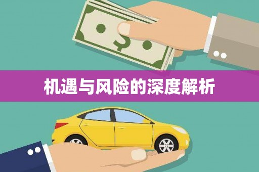 延安机遇与风险的深度解析
