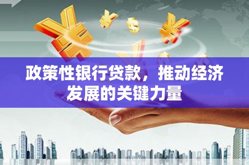 延安政策性银行贷款，推动经济发展的关键力量