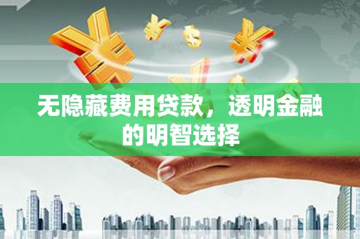 延安无隐藏费用贷款，透明金融的明智选择
