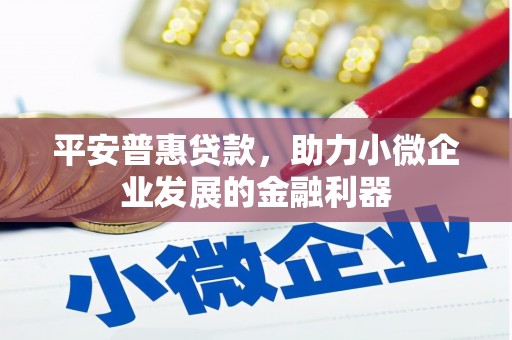 延安平安普惠贷款，助力小微企业发展的金融利器