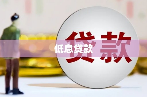 延安低息贷款