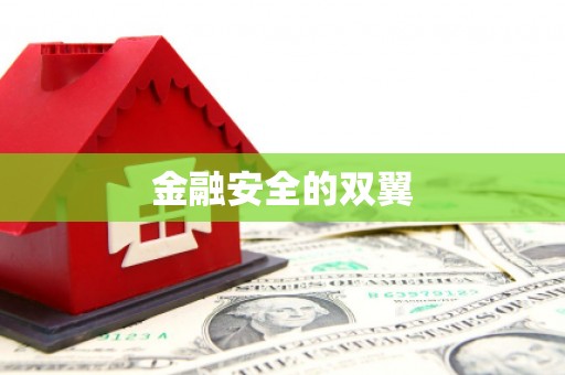 延安金融安全的双翼