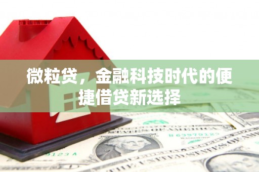 延安微粒贷，金融科技时代的便捷借贷新选择