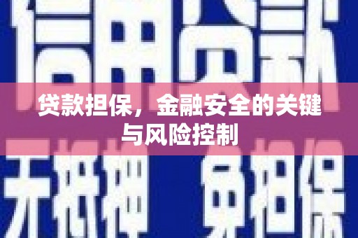 延安贷款担保，金融安全的关键与风险控制