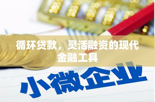 延安循环贷款，灵活融资的现代金融工具
