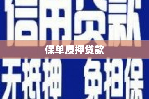 延安保单质押贷款