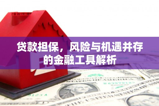 延安贷款担保，风险与机遇并存的金融工具解析