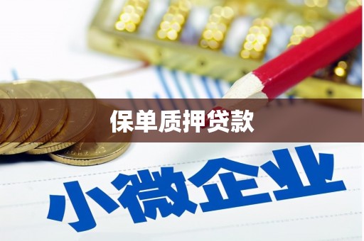 延安保单质押贷款