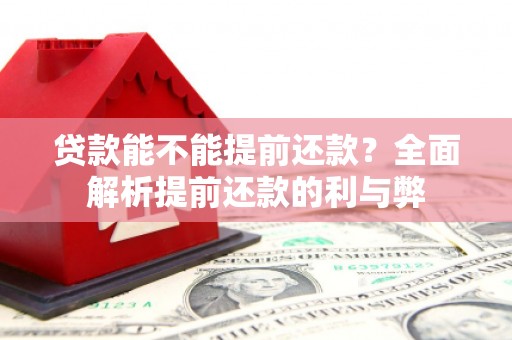 延安贷款能不能提前还款？全面解析提前还款的利与弊